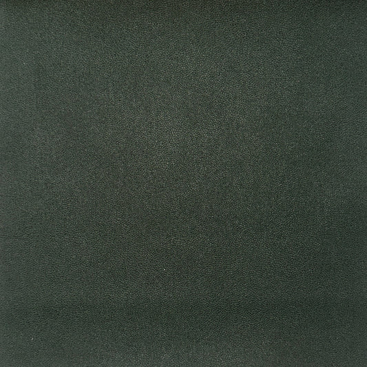 AL13 – Forest Pine