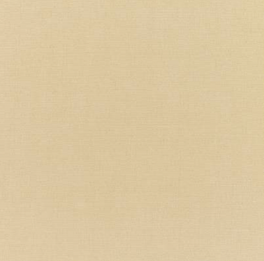 Sunbrella Canvas Antique Beige 5422-0000