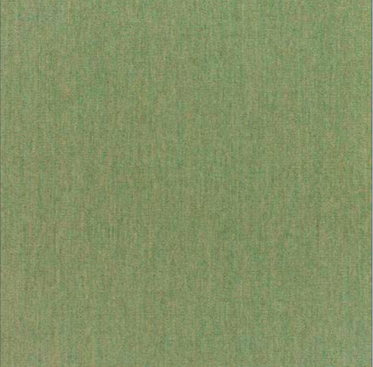 Sunbrella Canvas Fern 5487-0000