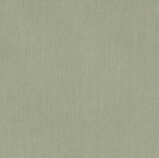 Sunbrella Canvas Seasalt 14106-0000