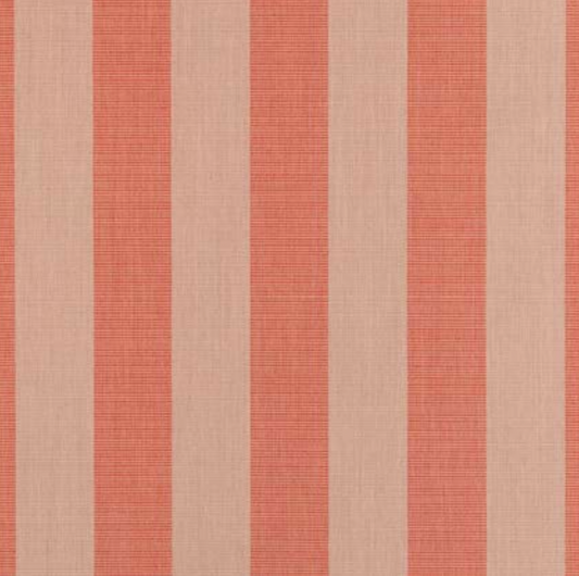 Sunbrella Expressive Blush 14123-0000