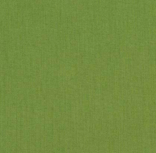 Sunbrella Spectrum Cilantro 48022-0000