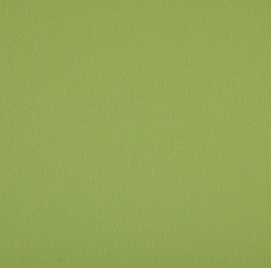 Agora - Liso Verde Claro 3726
