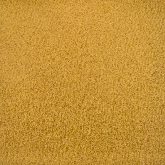 AL02 – Mustard Gold