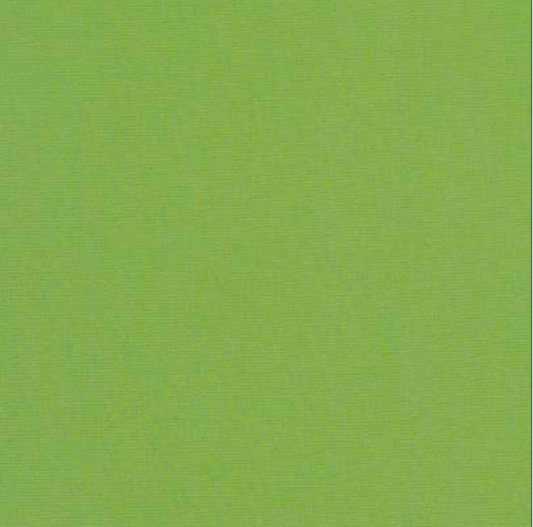 Sunbrella Canvas Ginkgo 54011-0000