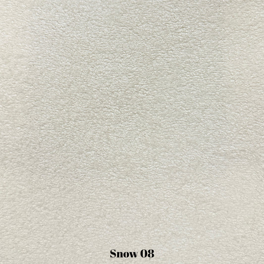 Snow 08